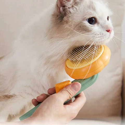 Cepillo Removedor de Pelos para Mascota