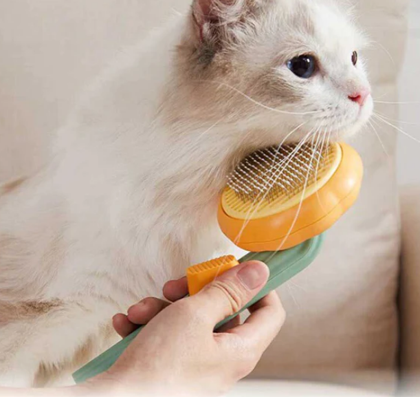 Cepillo Removedor de Pelos para Mascota